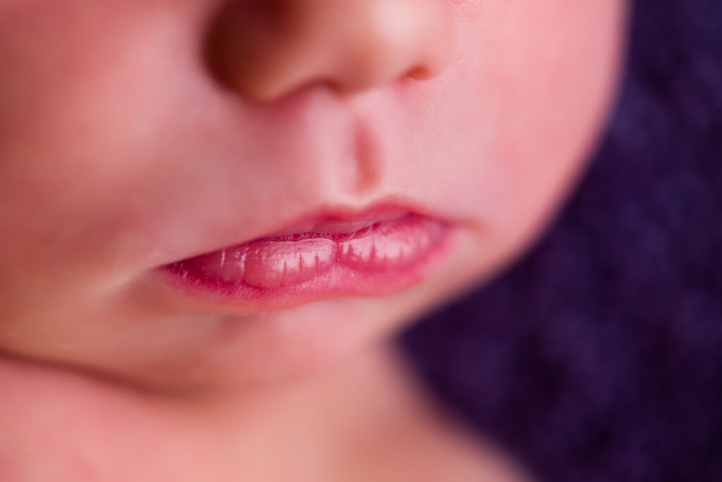 Fotostudio Onszelf Fotografie Delft