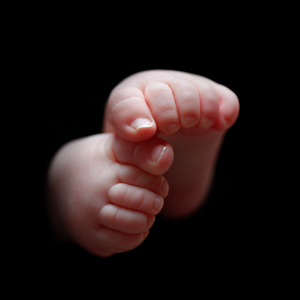 Fotostudio Onszelf Fotografie Delft