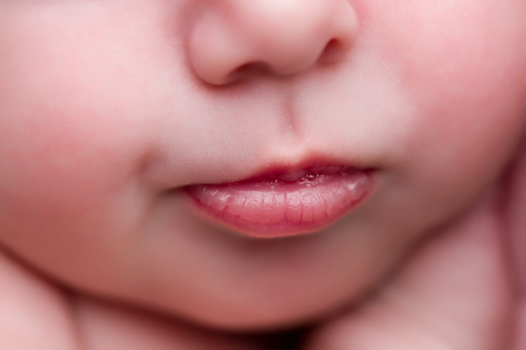 Fotostudio Onszelf Fotografie Delft