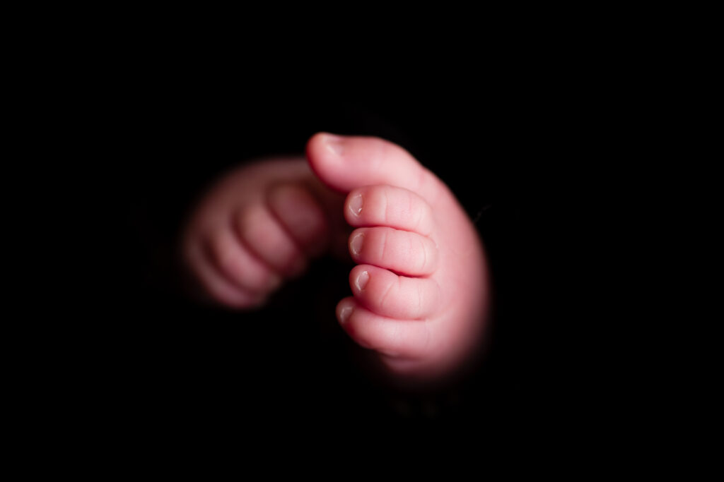 Fotostudio Onszelf Fotografie Delft